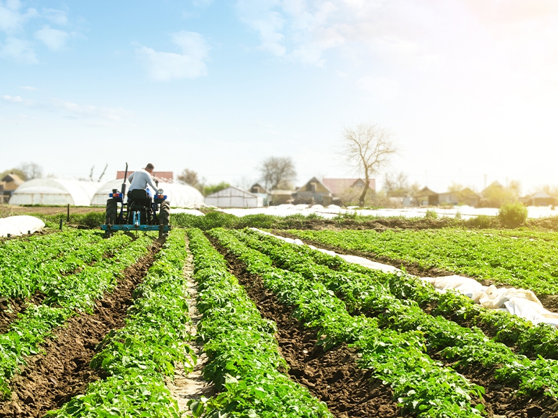 CNA elabora documento para a COP 30