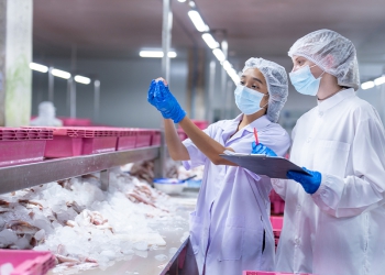 Exportações de carne suína alcançam maior volume mensal