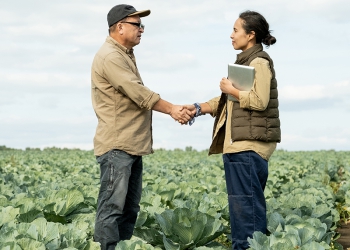 O produtor rural brasileiro: entre a preservação e a insegurança jurídica