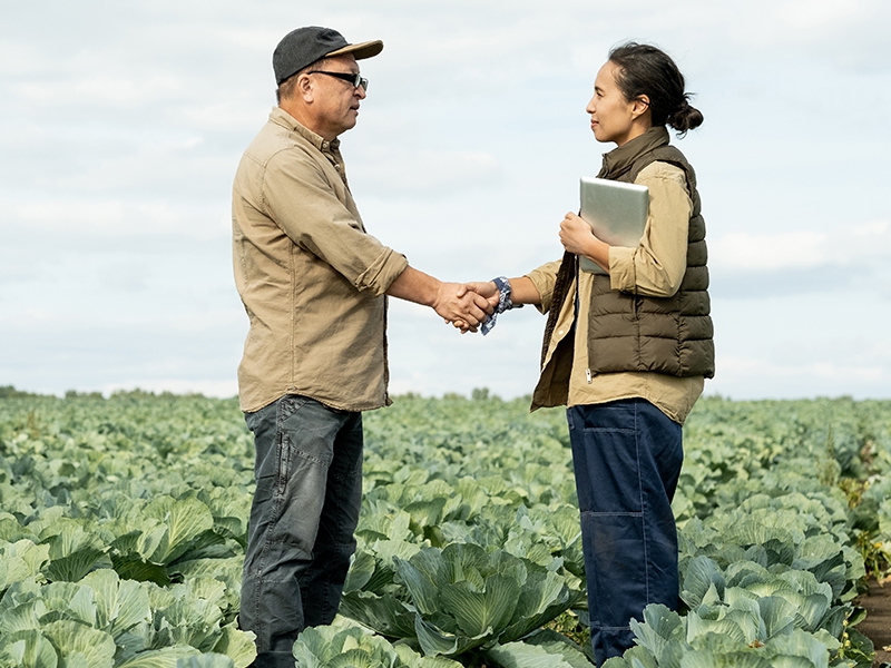 O produtor rural brasileiro: entre a preservação e a insegurança jurídica