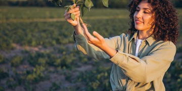 Desafios de financiamento para a agricultura regenerativa
