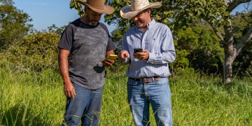 Sinergia favorece tomada de decisão de pecuaristas