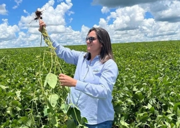 Sete tendências do agronegócio para os próximos anos