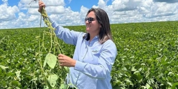 Sete tendências do agronegócio para os próximos anos