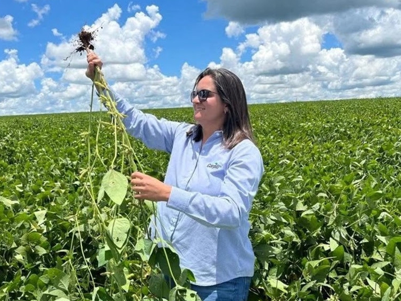 Sete tendências do agronegócio para os próximos anos