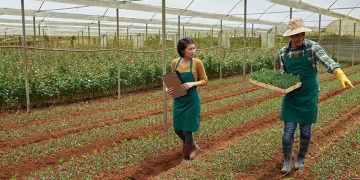 Ferramentas de fidelização da Corteva ajudam na aquisição de insumos