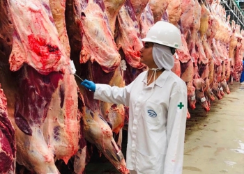 Mesmo em expansão, Pecuária enfrenta riscos