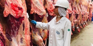 Mesmo em expansão, Pecuária enfrenta riscos