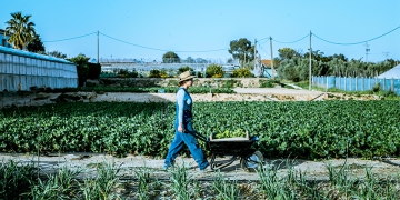COP30: 5 soluções inovadoras para agricultura sustentável