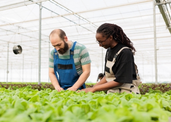 Agroindústria tem alta de 2,3% em setembro de 2025