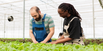 Agroindústria tem alta de 2,3% em setembro de 2025
