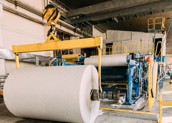 COP30: os quatro pilares da indústria de papel e celulose