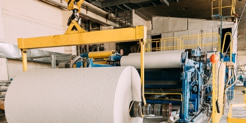 COP30: os quatro pilares da indústria de papel e celulose