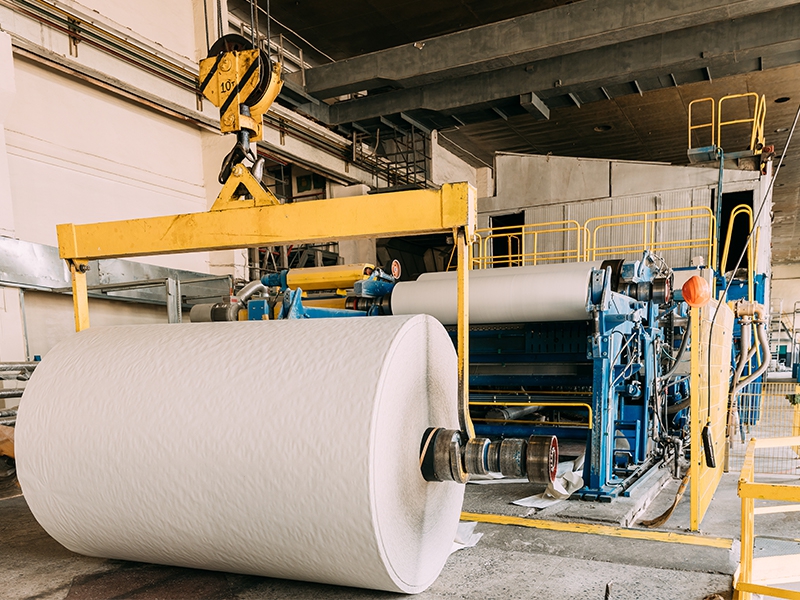 COP30: os quatro pilares da indústria de papel e celulose