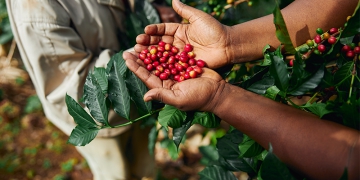 Cecafé celebra reversão de tarifas impostas pelo governo Trump