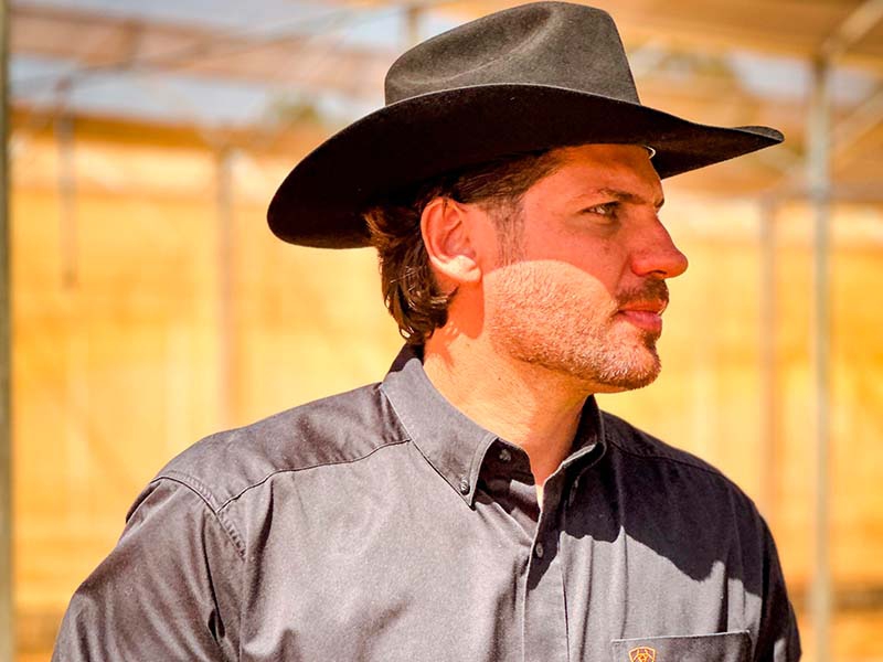 Brasil inova: pecuária sustentável com o Tifton 85