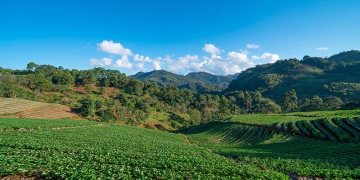 Agro 2026: riscos, ajustes e oportunidades