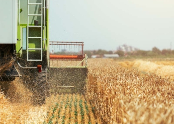 Agroindústria recua –0,3% em novembro de 2025
