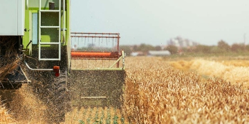 Agroindústria recua –0,3% em novembro de 2025