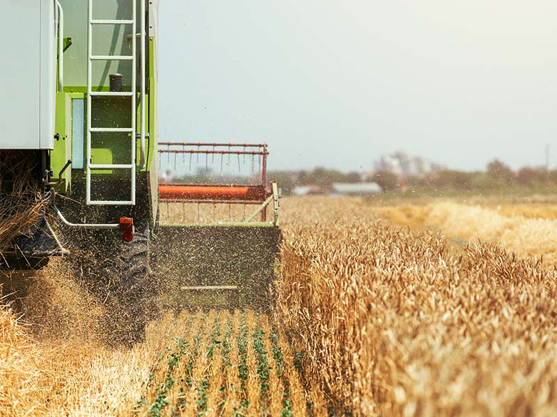 Agroindústria recua –0,3% em novembro de 2025