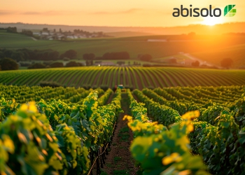 Abisolo passa a se chamar Associação Brasileira das Indústrias de Tecnologia para Produção Vegetal