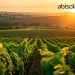 Abisolo passa a se chamar Associação Brasileira das Indústrias de Tecnologia para Produção Vegetal