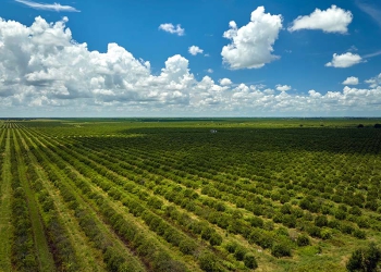 CNA leva ao STF disputa sobre regras de crédito rural