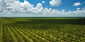 CNA leva ao STF disputa sobre regras de crédito rural