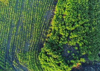 Regenerar para competir no agro
