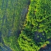 Regenerar para competir no agro