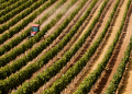 Área com seca no Brasil recua para 41% em abril