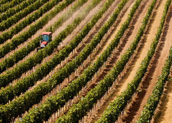 Área com seca no Brasil recua para 41% em abril