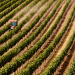 Área com seca no Brasil recua para 41% em abril