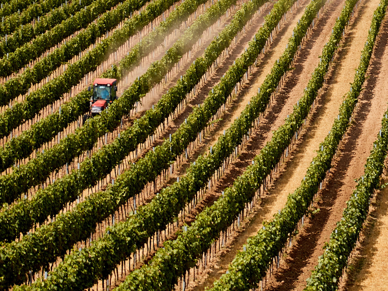Área com seca no Brasil recua para 41% em abril