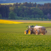 Fertilizantes especiais recuam 5,5% em faturamento