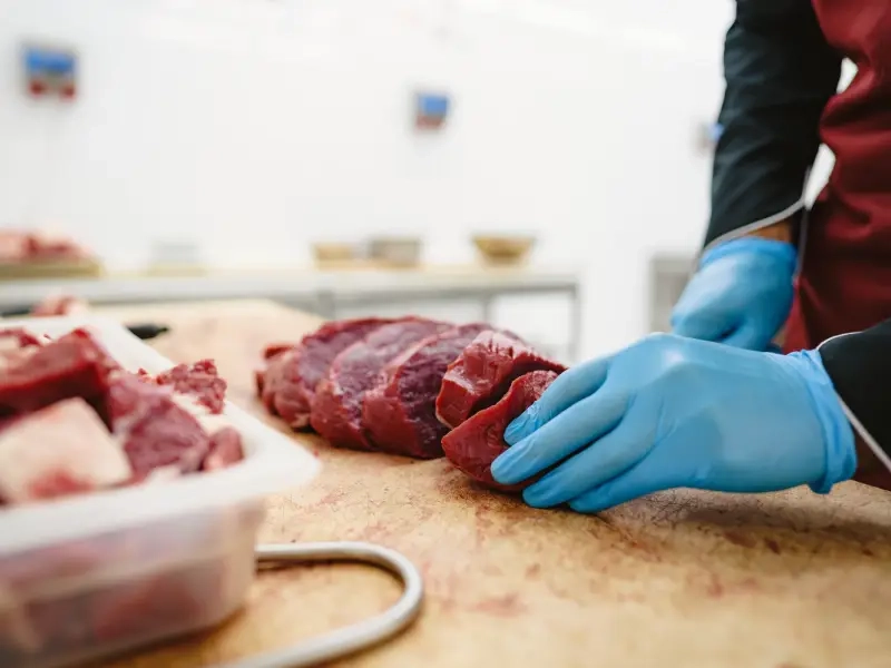 UE veta proteína animal do Brasil