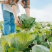 SP supera R$ 128 milhões em compras da agricultura familiar