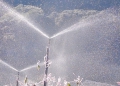 El Niño intensifica risco de geadas e coloca produção de hortifruti em alerta