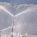 El Niño intensifica risco de geadas e coloca produção de hortifruti em alerta