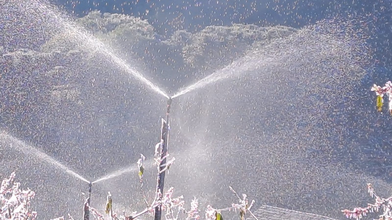 El Niño intensifica risco de geadas e coloca produção de hortifruti em alerta