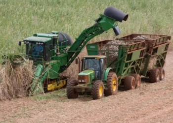 Agro paulista soma US$ 6,45 bi em superávit