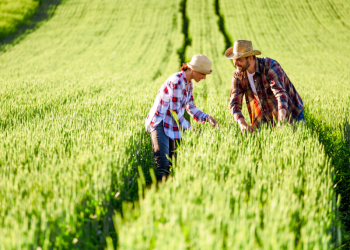 Pronaf amplia descontos para agricultura familiar
