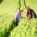 Pronaf amplia descontos para agricultura familiar