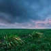 El Niño acende alerta para safra 2026/27 no Brasil