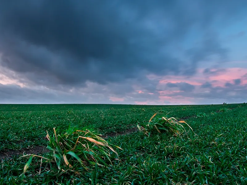 El Niño acende alerta para safra 2026/27 no Brasil