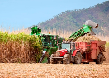 Agro paulista amplia volume exportado apesar de preços menores