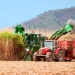 Agro paulista amplia volume exportado apesar de preços menores