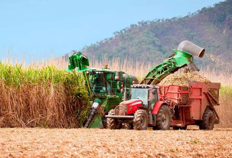 Agro paulista amplia volume exportado apesar de preços menores