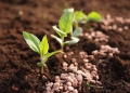 Fertilizantes avançam 3,8% no 1º trimestre no Brasil