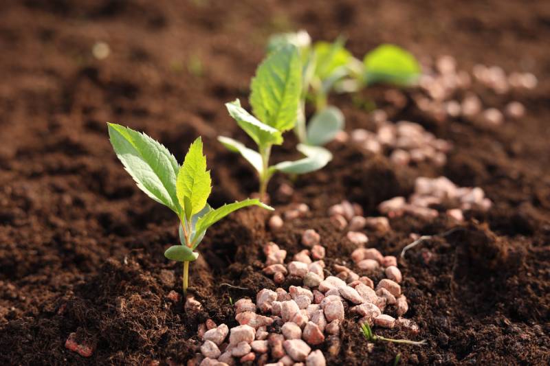 Fertilizantes avançam 3,8% no 1º trimestre no Brasil